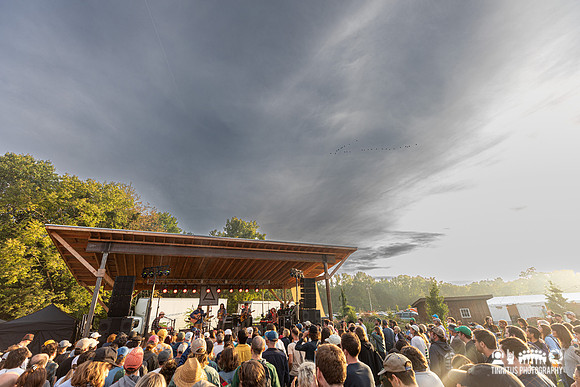 Woods in concert
