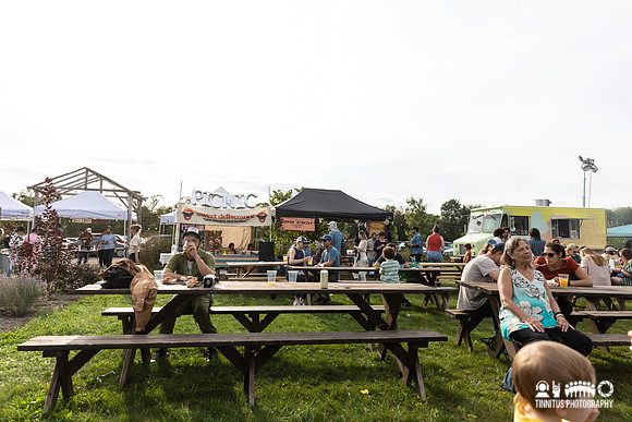 Woodsist Festival Day 1