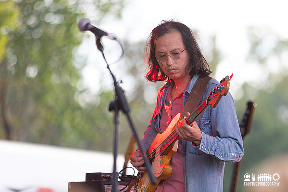 Woods in concert