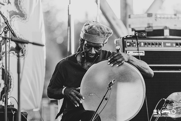 Natural Information Society in concert