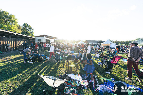 Woodsist Festival Day 2