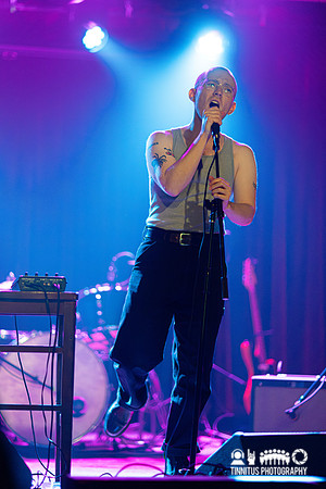Brutus VIII in concert