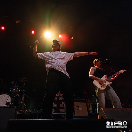 Bearings in concert