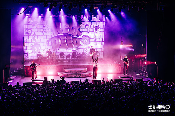 Neck Deep in concert