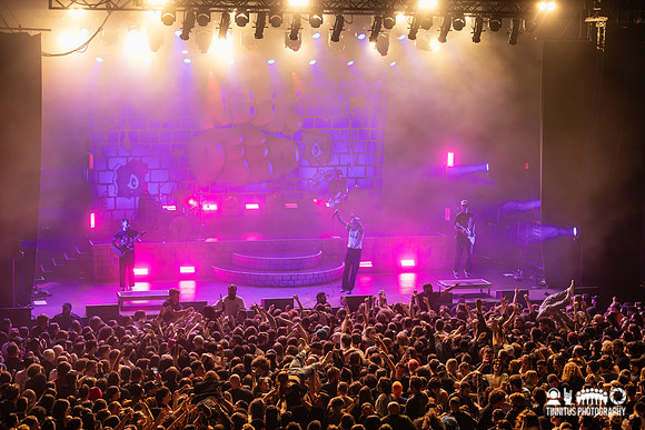 Neck Deep in concert