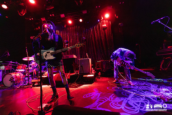 The Paranoyds in concert
