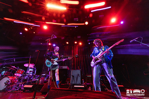 The Paranoyds in concert