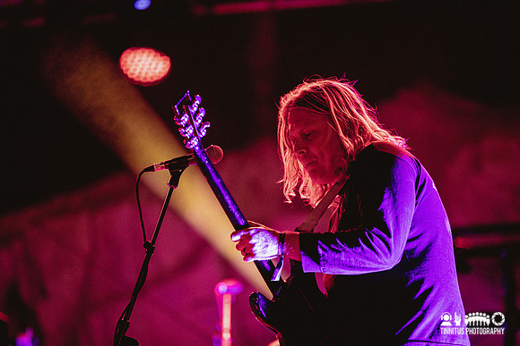Ty Segall in concert