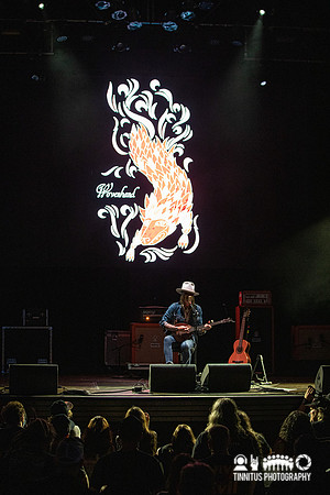 Wovenhand in concert