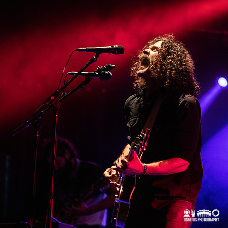Lord Buffalo in concert