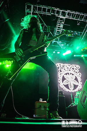 Toke in concert