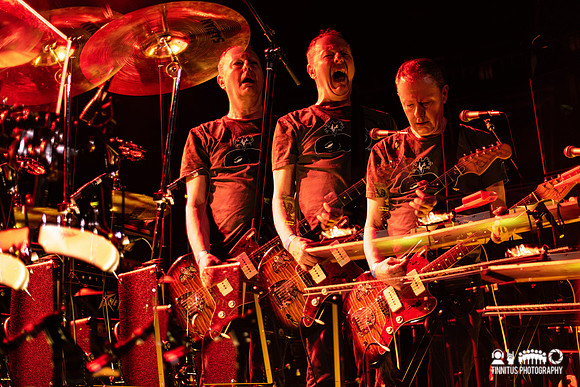 Minibeast in concert
