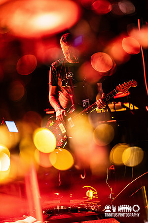Minibeast in concert