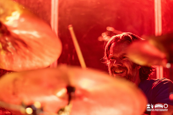 Minibeast in concert