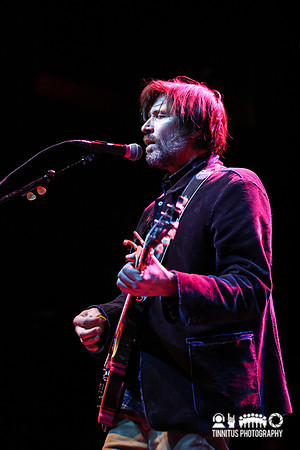 Lemonheads in concert