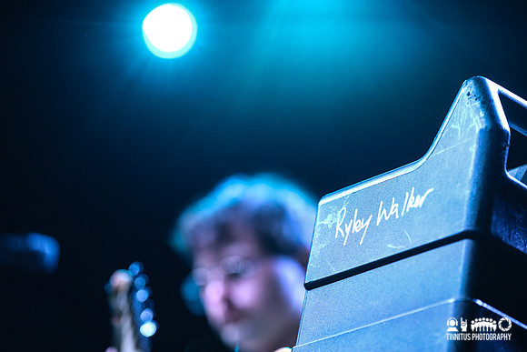 Ryley Walker in concert