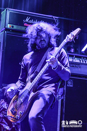 Dinosaur Jr in concert