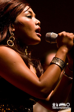 Dengue Fever in concert