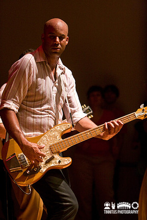 Dengue Fever in concert