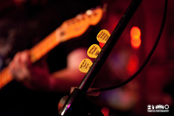 Buffalo Spiders in concert