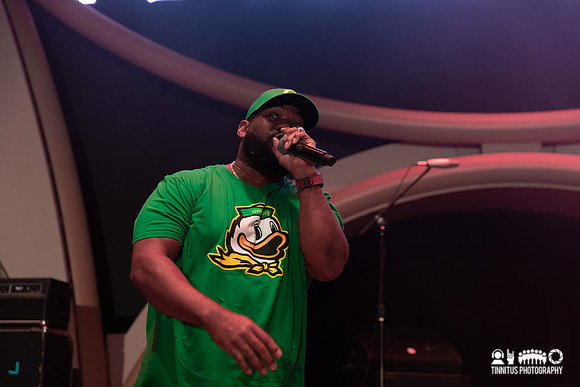 Raekwon and GZA in concert