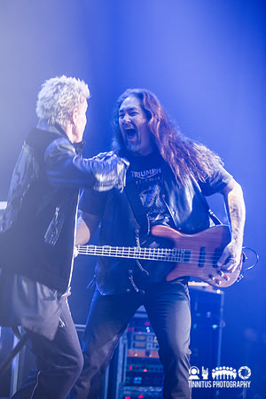 Billy Idol in concert