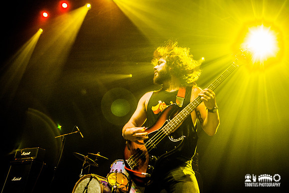 Elder in concert