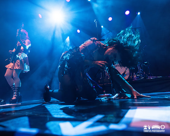 The Last Dinner Party in concert