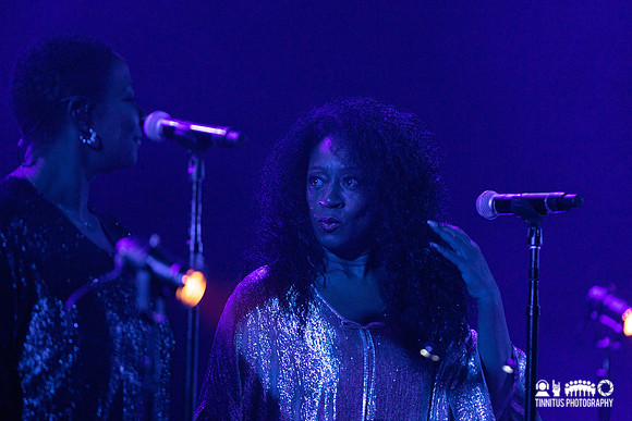 Nick Cave and Warren Ellis in concert