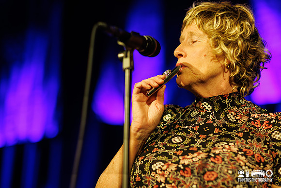 Mini Mekons in concert