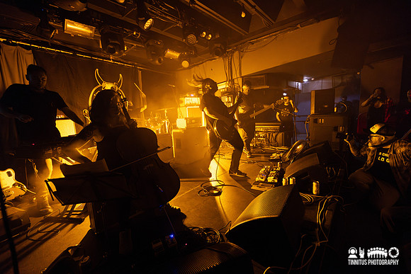 Pijn in concert