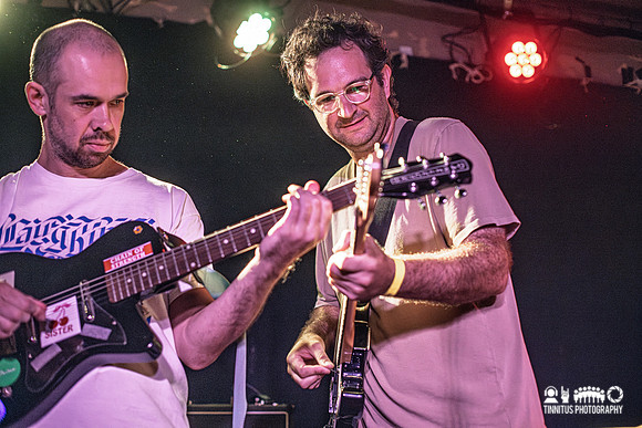 Constant Mongrel in concert