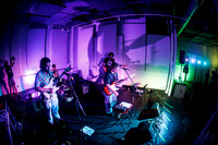 Orchid Mantis in concert