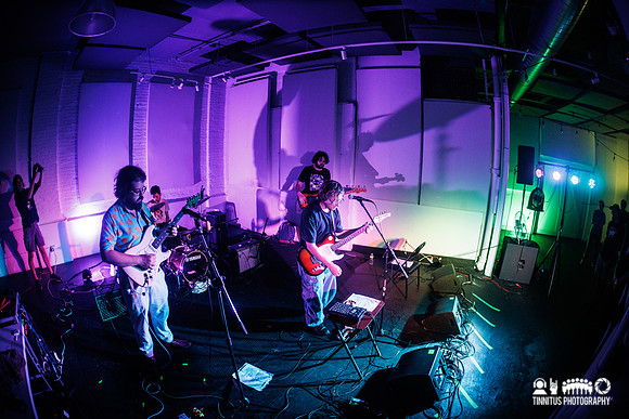 Orchid Mantis in concert