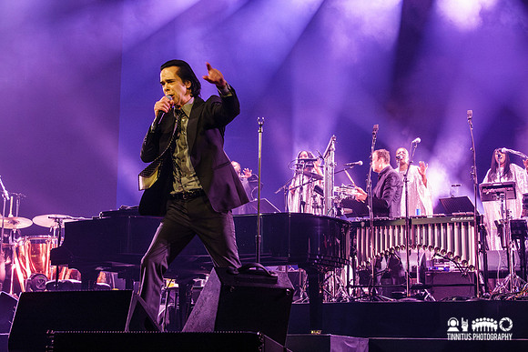 Nick Cave and the Bad Seeds in concert