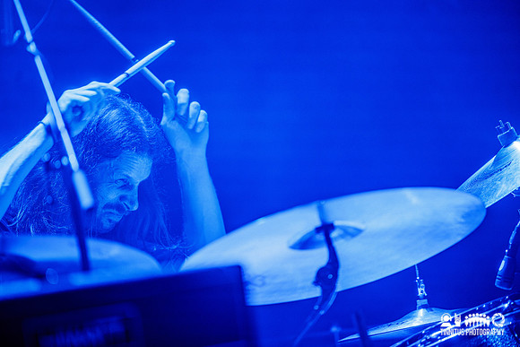 Elder in concert