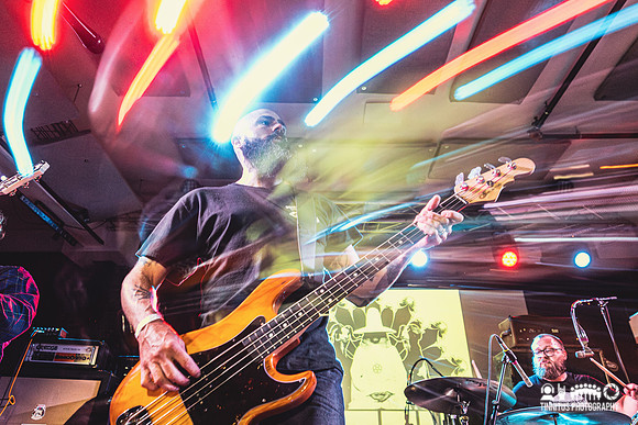GOZU in concert