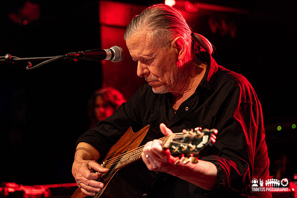 Swans in concert