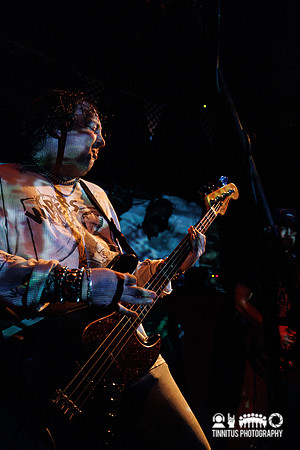 Poison Ruin in concert