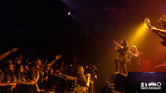 Green Lung in concert