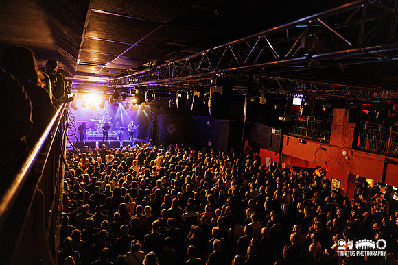 Elder in concert