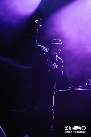 Souls of Mischief in concert