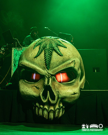Cypress Hill in concert