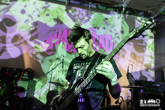 Swamphead in concert