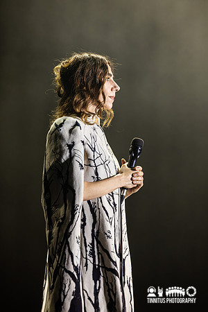 PJ Harvey in concert