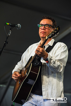 Fred Armisen in concert
