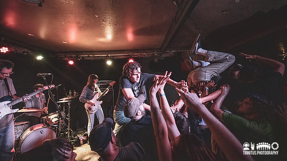 Constant Mongrel in concert