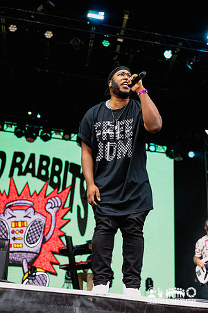 Bad Rabbits in concert