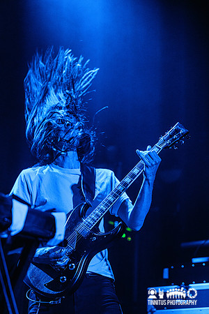 Elder in concert