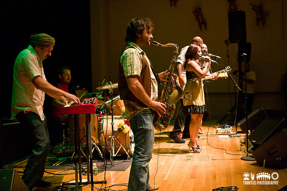 Dengue Fever in concert